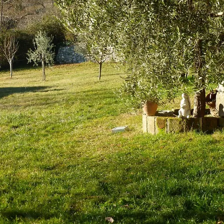 Casa Teodoro - Gelsomino, Ulivi & Orchidea Appartement *