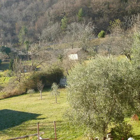 Casa Teodoro - Gelsomino, Ulivi & Orchidea アパート