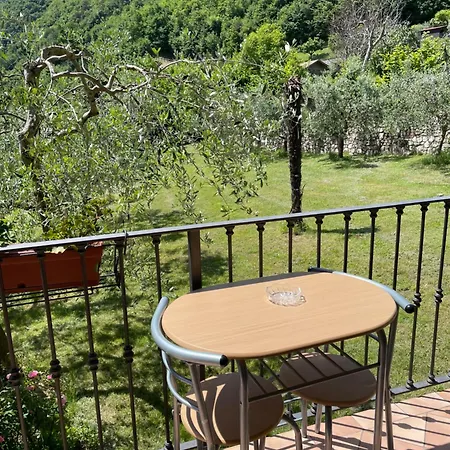 Casa Teodoro - Gelsomino, Ulivi & Orchidea *